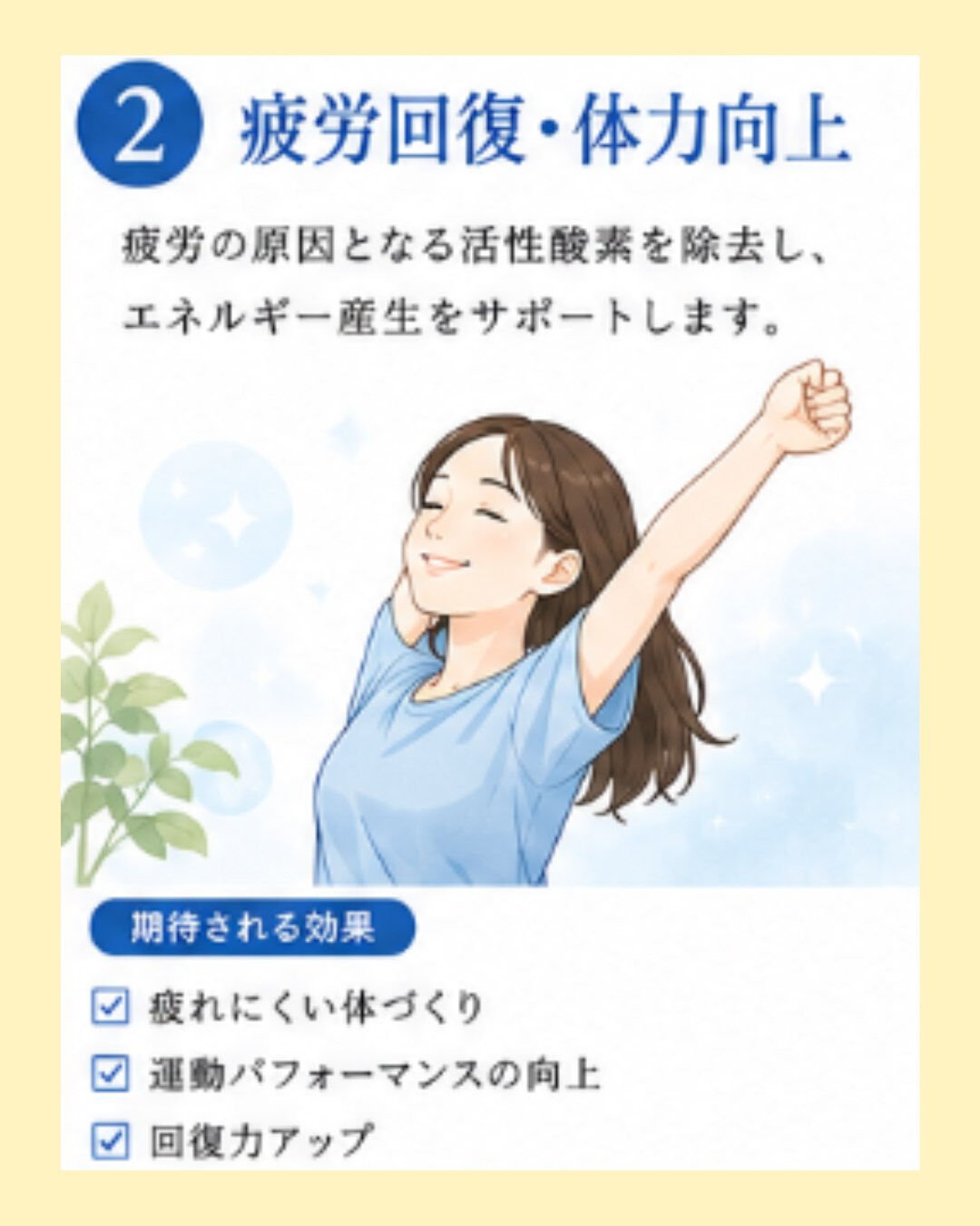 新メニュー始まります‼️