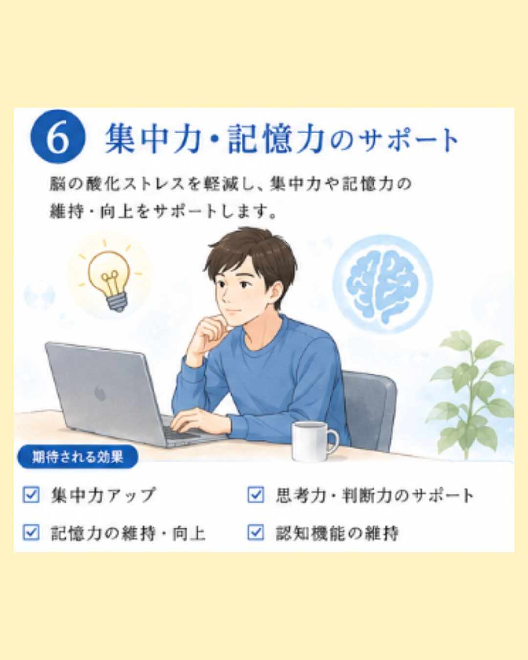 新メニュー始まります‼️